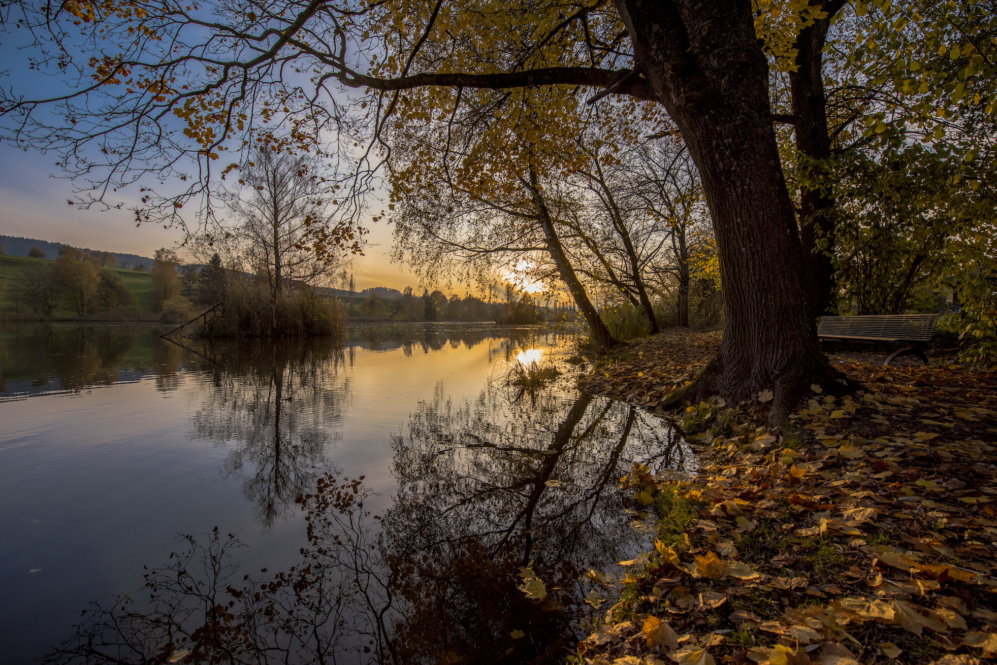 Bettenauer Weiher