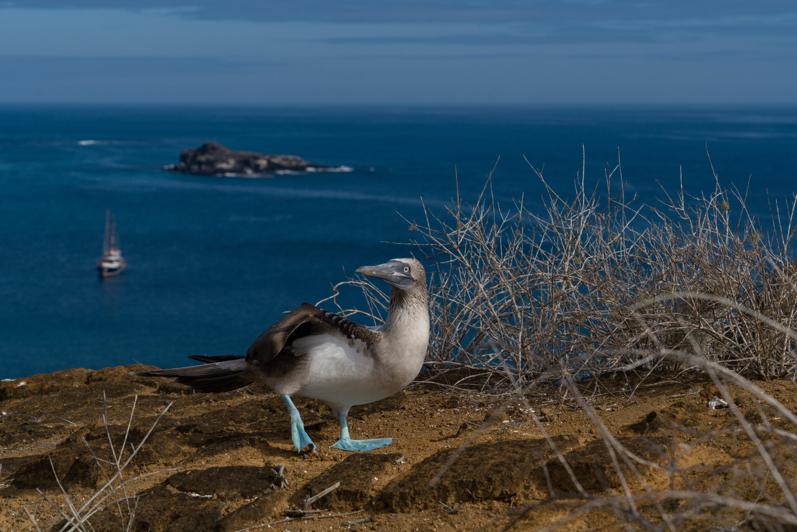 ECU_Galapagos12