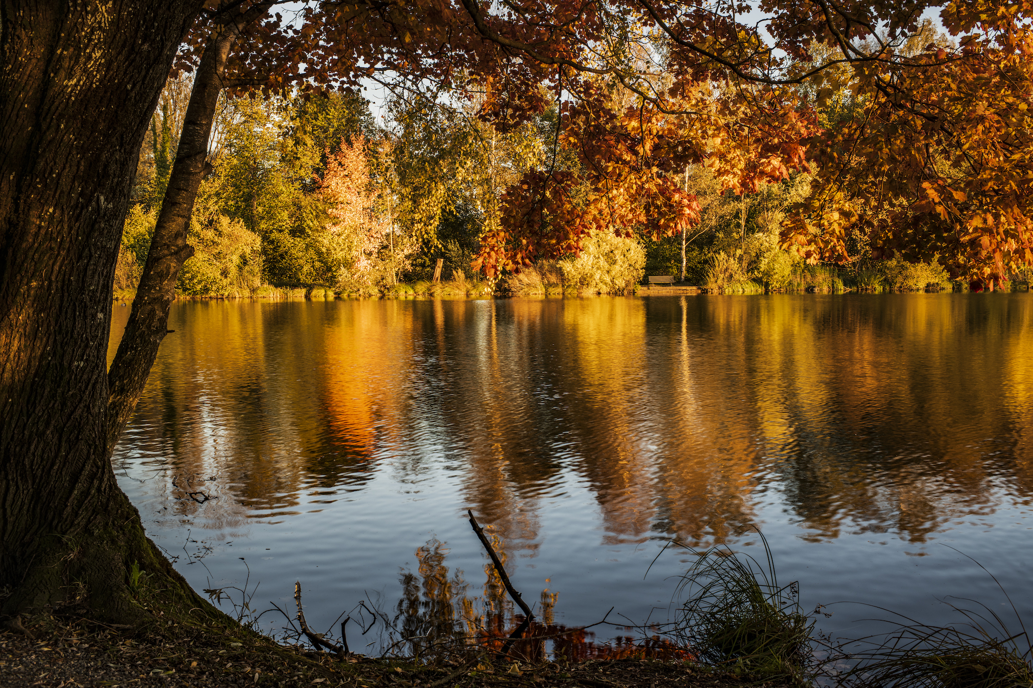 Bettenauer Weiher