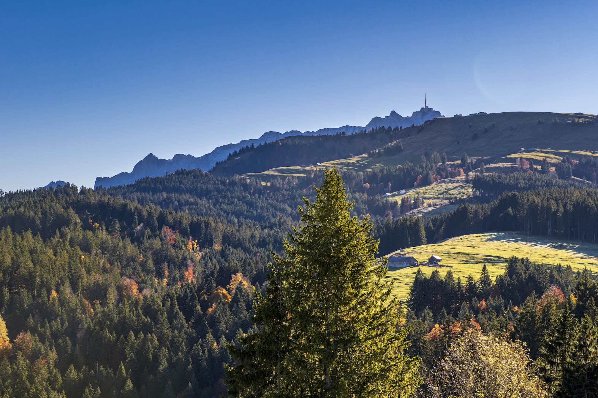 Säntis